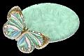 papillons (10)